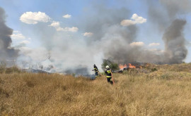  В Молдове пожарами уничтожено более 100 гектаров земли за один день