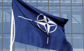 Oficiul NATO va apărea întro țară neutră