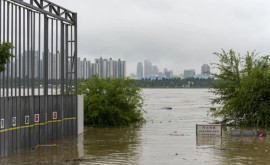 Coreea de Sud a fost inundată ce pericole prezintă ploile