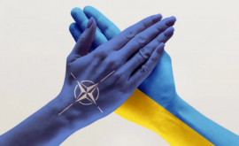 NATO va avea un reprezentant permanent în Ucraina