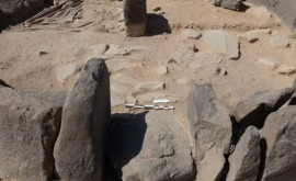 Необычное поселение медного века обнаружено в Саудовской Аравии