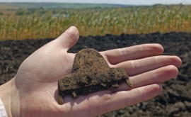 Arheologii anunță despre o descoperire interesantă în nordul țării