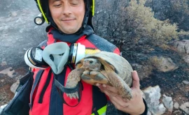 Вторая миссия пожарной команды из Молдовы в Греции 
