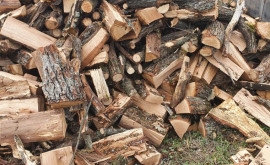Oamenii de la sate se pregătesc de vara pentru iarnă Cumpărăm lemne dar tare sînt scumpe