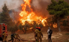 Pompierii luptă de cinci zile cu un incendiu în nordul Greciei 