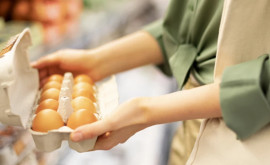 Cum procurăm ouă pe timp de caniculă Recomandările specialiștilor