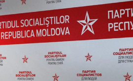 Partidul Socialiștilor va contesta inițiativa de a oferi indemnizații lunare de 700 de euro copiilor ambasadorilor