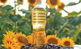 Cit ulei de floarea soarelui importă Moldova