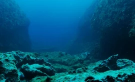 Какую тайну скрывают темные океаны полностью меняется теория жизни на Земле 
