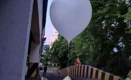 В Южной Корее шары с мусором оказались над президентским комплексом