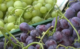 На рынке появился первый столовый виноград урожая этого года