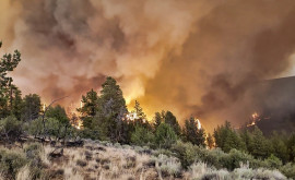В Калифорнии быстро распространяется разрушительный пожар 