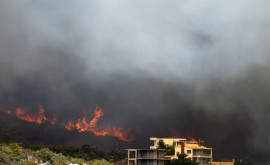 Insula Creta luptă cu disperare cu un incendiu de pădure