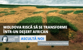 Ascultă Noi Cum să nu transformăm Moldova întrun deșert