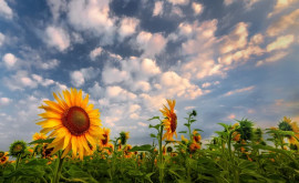 Prognoza meteo pentru 13 august