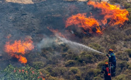 Persoana care a incendiat o zonă forestieră din Turcia surprinsă de camerele de supraveghere