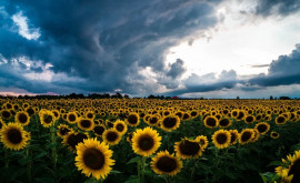 Prognoza meteo pentru 27 august