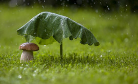 Prognoza meteo pentru 28 august