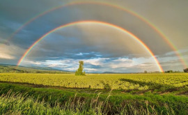 Prognoza meteo pentru 30 august