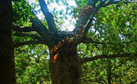 Ecoturism spiritual în Bulgaria partea 2 Valea pietrelor semiprețioase