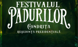 Limitări de circulație pe traseul ChișinăuLeușeni pe durata Festivalului Pădurilor