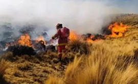 Incendiile de vegetaţie scapă de sub control în Peru