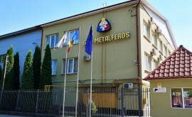 Cine a fost ales director general la întreprinderea Metalferos