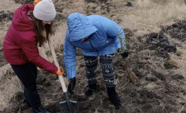 Сотрудники Агентства по охране окружающей среды участвовали в кампании по облесению
