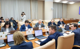 Executivul a aprobat modificări la Legea privind auditul situațiilor financiare