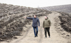 Campania națională de împădurire pentru primăvara 2025 a fost lansată oficial