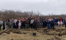 Парламент присоединился к весенней кампании по лесонасаждению