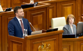 Лазаренку представил информацию о реализации Программы расширения и восстановления лесов