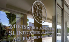 Audit financiar la Ministerul Agriculturii Subvenții înregistrate greșit