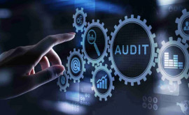 Audit privind executarea bugetului de stat 2024 Nereguli constatate