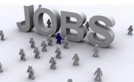 Самые высокооплачиваемые рабочие места в Молдове