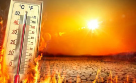 Recomandările salvatorilor pe timp de caniculă