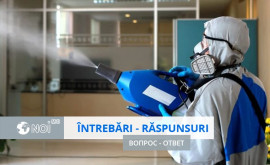 Lucrări de dezinsecție și deratizare în blocurile de locuințe Unde depuneți cererea