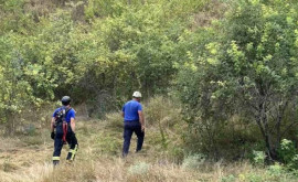 Evacuare de urgență Motociclist prins între copaci salvat de la 15 metri adîncime