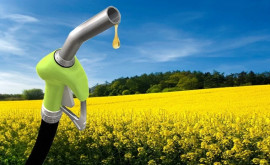 Moldova lansează o campanie națională de promovare a biocombustibilului