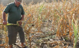 Огромные различия на рынке труда ITспециалист зарабатывает в 36 раза больше чем аграрий