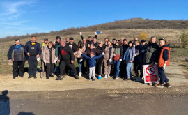 Sute de arbori noi au fost plantați astăzi campania de toamnă din Republica Moldova continuă