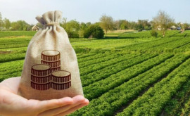 Ce sumă a autorizat AIPA spre plată către fermieri săptămîna trecută