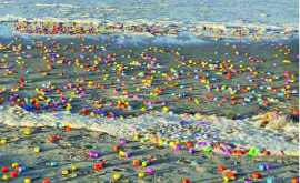 Sute de mii de ouă Kinder naufragiate pe o plajă din Germania