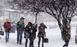 Cel puțin 10 oameni au murit în Polonia în două zile din cauza frigului