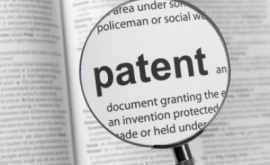Доход от продажи патентов мигрантам вырос на 30