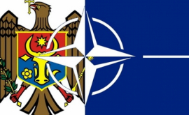 Когда начнет работу Бюро связи НАТО в Кишиневе