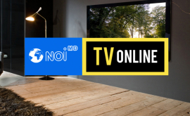 TV NOI будет транслировать онлайн концерт Джеты Бурлаку