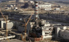 Знаки отличия для участников ликвидации последствий Чернобыльской аварии 