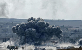 В Пентагоне заявили об уничтожении 11 членов АльКаиды в Сирии