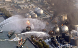 Ar trebui să ne temem Nivelul astronomic al radiaţiilor la Fukushima 